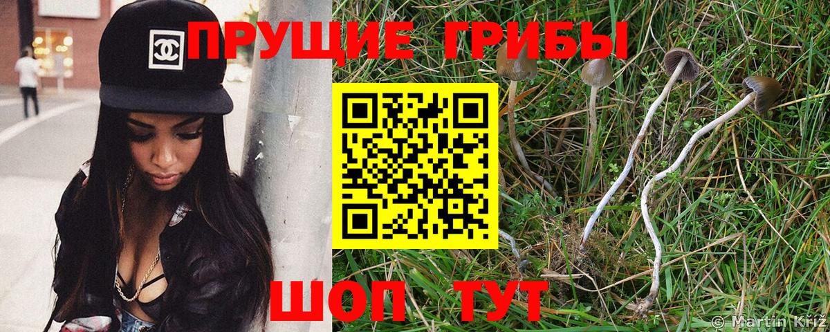 Псилоцибиновые грибы Magic Shrooms Ковров